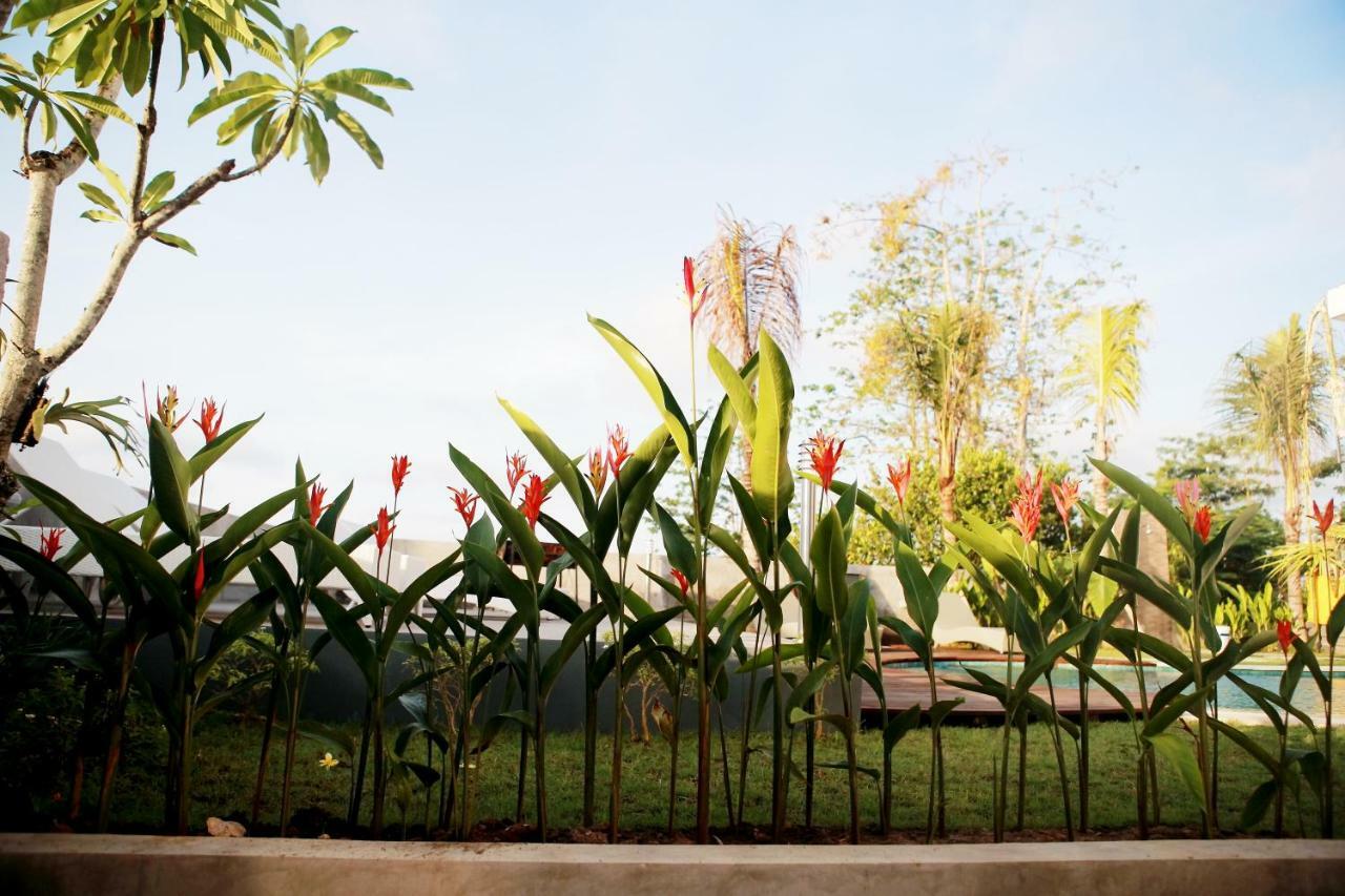 Vanilla Suite Jimbaran Ngoại thất bức ảnh